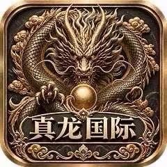 真龙国际